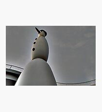 snowman/snowflakes Photographic Print