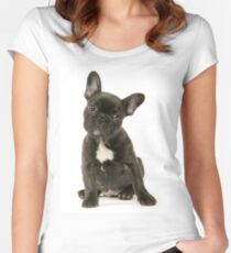 Cute French Bulldog Puppy Women's Fitted Scoop T-Shirt