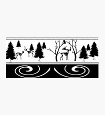 Scary Winter Scenery Photographic Print