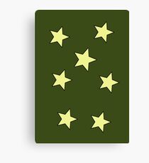 Stars Canvas Print