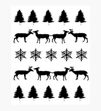 Winter Photographic Print