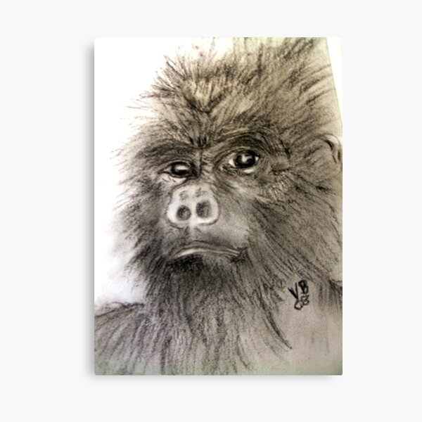 Gorillia Endangered Canvas Print