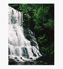 Liffey Falls Photographic Print