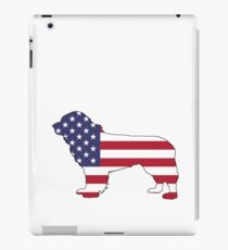 American Flag – Newfoundland iPad Case/Skin
