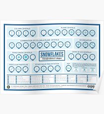 The Shapes of Snowflakes Poster