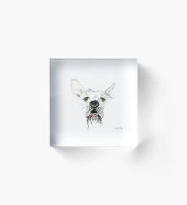 Cressy Acrylic Block