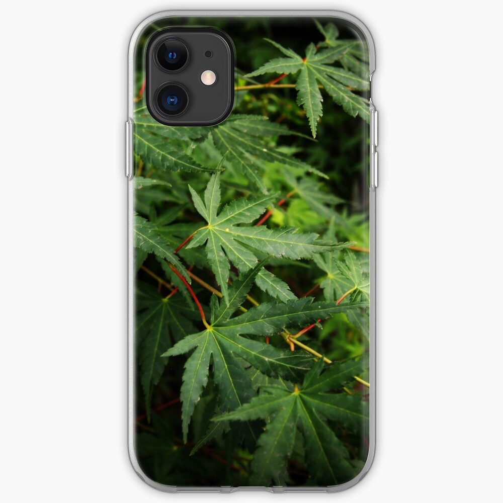 Japanese Maple Leaves in Spring iPhone Case & Cover
