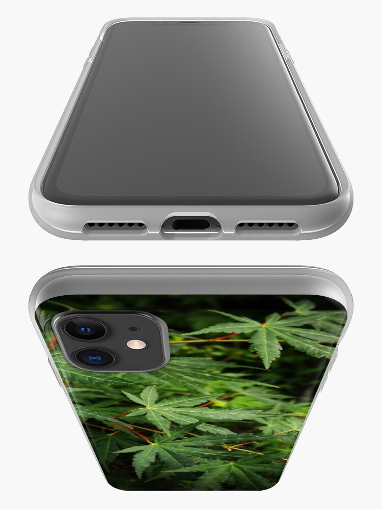Alternate view of Japanese Maple Leaves in Spring iPhone Case & Cover