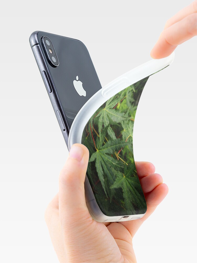 Alternate view of Japanese Maple Leaves in Spring iPhone Case & Cover