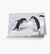 Chinstrap Penguins ~ "Konnichiwa (hello)" Greeting Card