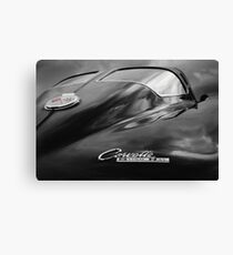 Split Window Canvas Print