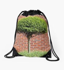 Urban Tree Drawstring Bag