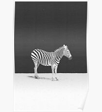 CAMOUFLAGE Poster