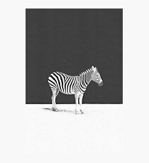 CAMOUFLAGE Photographic Print
