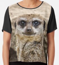 Meerkat Chiffon Top