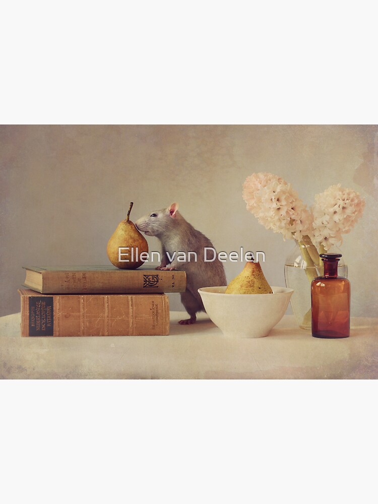 Jimmy by Ellen