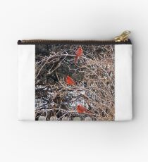 Three Visitors Studio Pouch