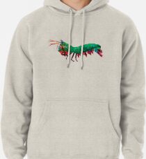 Geometrische abstrakte Pfau-Gottesanbeterin-Garnele Hoodie