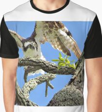 Osprey 4 - Florida Graphic T-Shirt