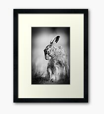 Dark Hare Framed Print