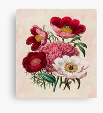 Flower garden Canvas Print