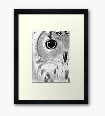 Owl Framed Print
