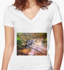 Exotic long exposure Women's Fitted V-Neck T-Shirt