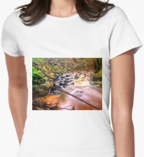 Exotic long exposure Women's Fitted T-Shirt