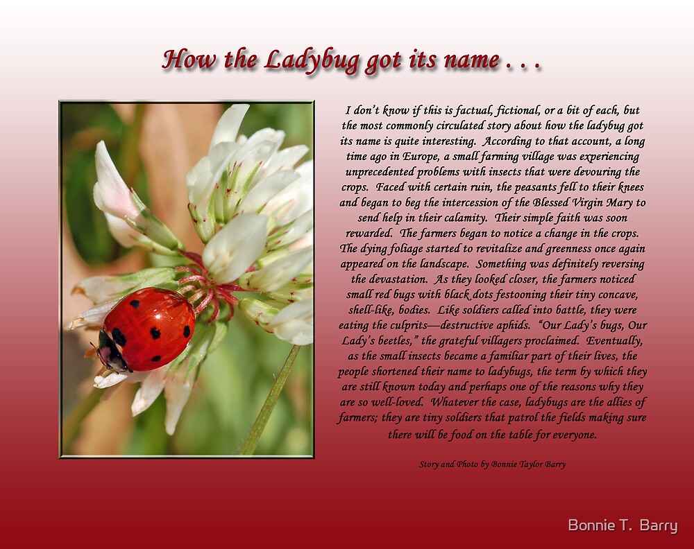 "How The Ladybug Got Its Name . . . " By Bonnie T. Barry | Redbubble