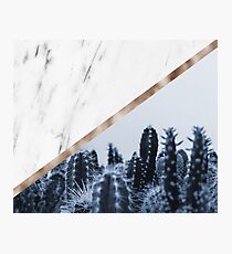 Cool marble desert blooms Photographic Print