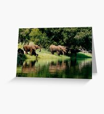 Mother's herd Greeting Card
