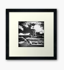 2010_1 Framed Print