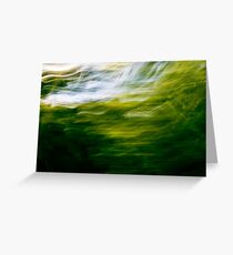 forest light Greeting Card