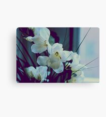 white oleander Canvas Print