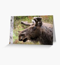 Moose up close Greeting Card