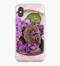 Baby Igel iPhone-Hülle & Cover