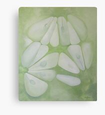 cucumber Canvas Print