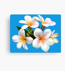 Caribbean water Canvas Print