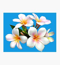 Caribbean water Photographic Print