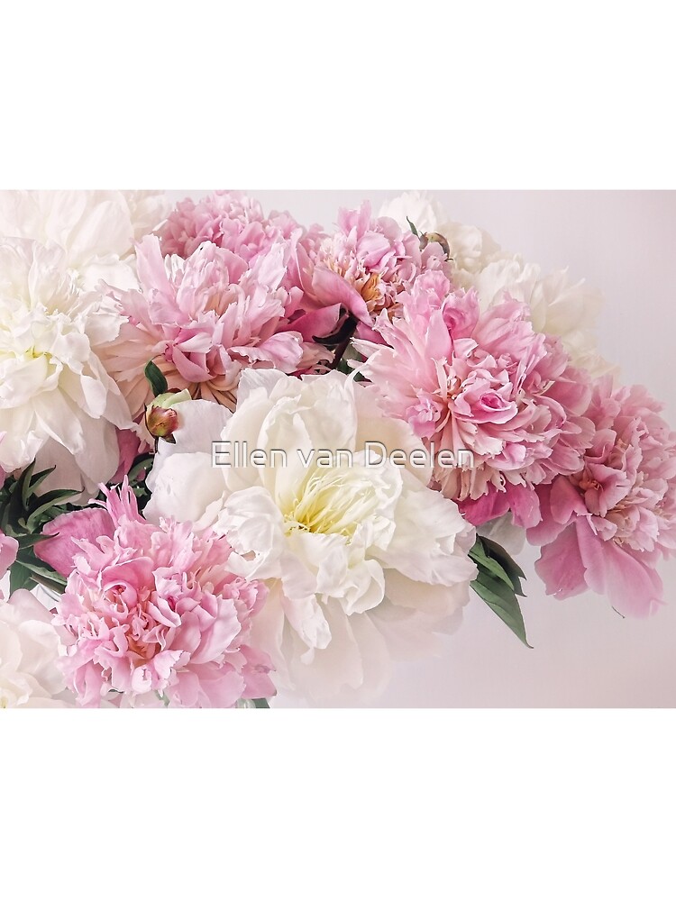 Peonies by Ellen