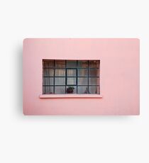 Pink Window Canvas Print