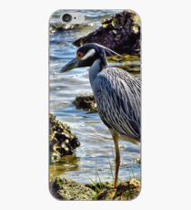 Yellow Crowned Night Heron 2 - Florida iPhone Case