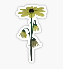 MMHMM Color/Transparent Sticker