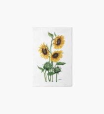 Sonnenblumen Galeriedruck