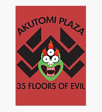 Akutomi Plaza Samurai Photographic Print