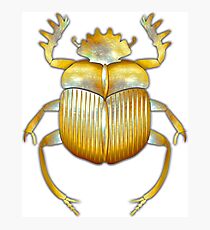 Egyptian Scarab 3 Photographic Print