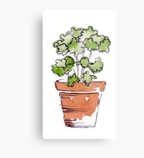 Herbs in pots - Parsley Metal Print