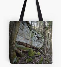 Cuyahoga Tote Bag