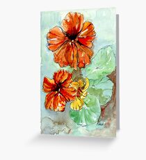 Nasturtiums, sunny Vit. C Greeting Card