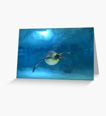 Penguin Blues Greeting Card